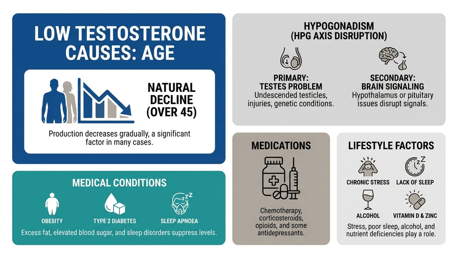 Low Testosterone: Causes, Symptoms & Treatment — infographic